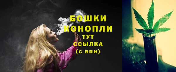 стаф Зерноград