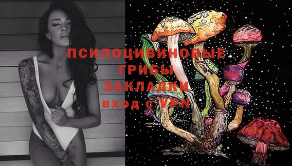 2c-b Иннополис