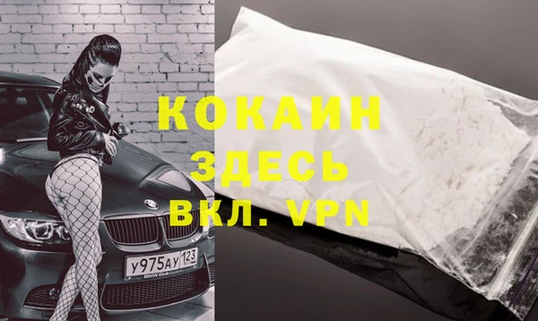 стаф Зерноград