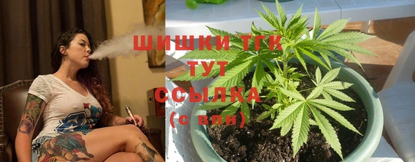 Альфа ПВП Зеленокумск