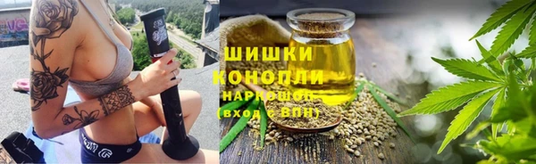 стаф Зерноград