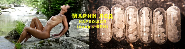 стаф Зерноград